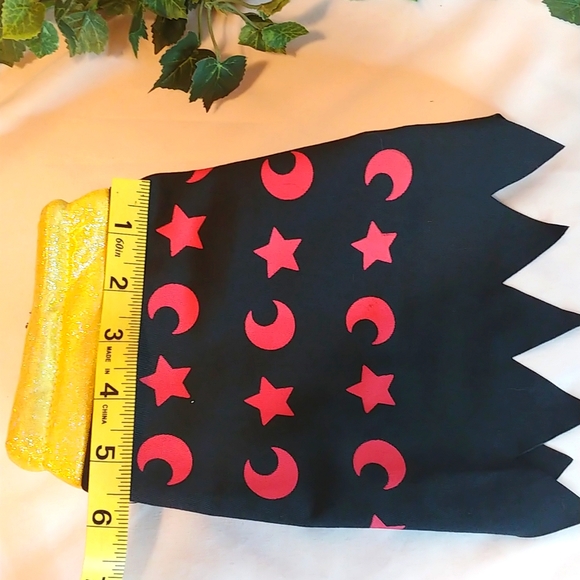 Pet Costume. Size Small. Like New. - Picture 6 of 9